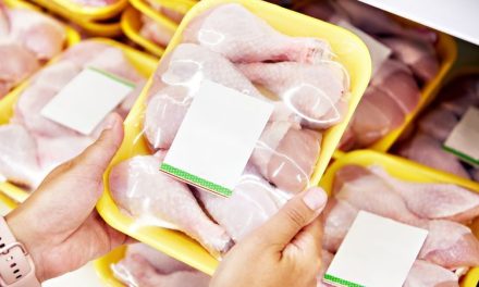 Daging Tinggi Protein: Cara Tepat Memilih yang Lebih Sehat