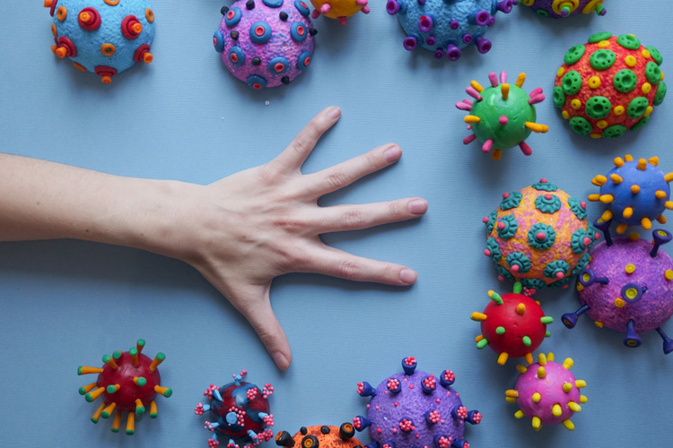 Ancaman Virus Nipah dan Risiko Penularannya pada Manusia