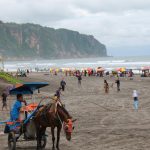 Parangtritis Dipadati 50 Ribu Wisatawan Saat Libur Lebaran 2026