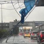 Hujan Deras Terjang Jakarta, Pohon Tumbang Ganggu Ruas Tol