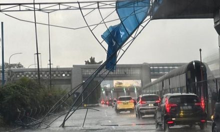 Hujan Deras Terjang Jakarta, Pohon Tumbang Ganggu Ruas Tol