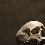 Makam 5.000 Tahun di Gerstewitz Ungkap Dugaan Kekerasan
