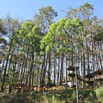 Wisata Keluarga di Karanganyar yang Seru dan Wajib Dikunjungi