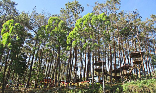 Wisata Keluarga di Karanganyar yang Seru dan Wajib Dikunjungi