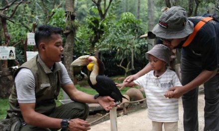 7 Wisata Edukasi Anak Terbaik, Liburan Seru Sambil Belajar