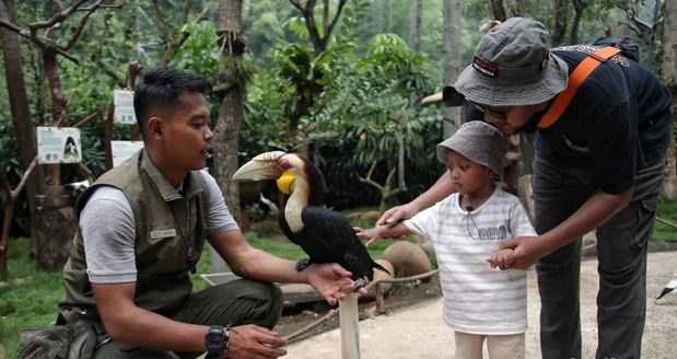 7 Wisata Edukasi Anak Terbaik, Liburan Seru Sambil Belajar