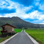 Jalan Viral Desa Singkam, Panorama Sawah yang Bikin Terpukau