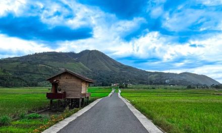 Jalan Viral Desa Singkam, Panorama Sawah yang Bikin Terpukau