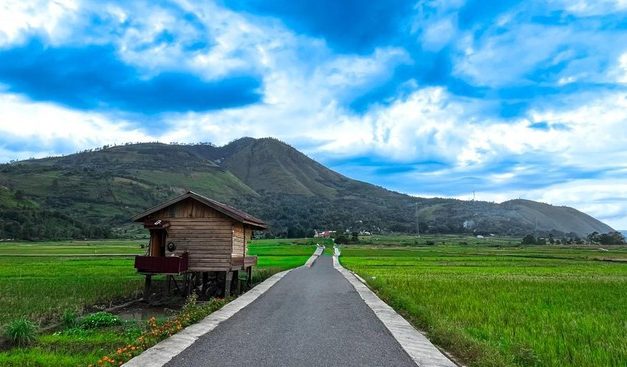 Jalan Viral Desa Singkam, Panorama Sawah yang Bikin Terpukau