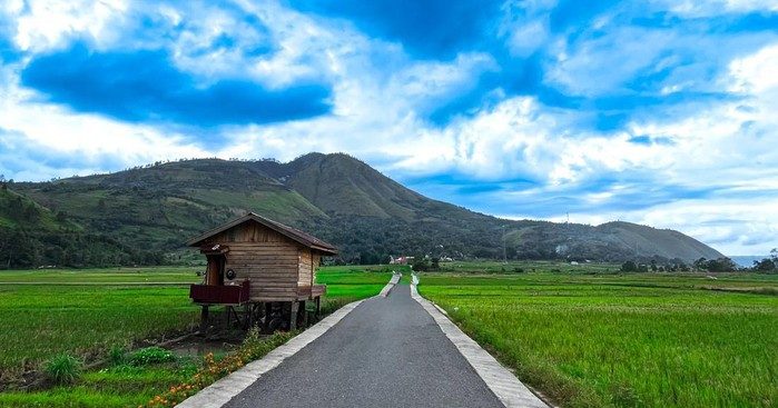 Pemandangan Jalan Viral Desa Singkam di Samosir yang membelah hamparan sawah hijau dengan latar perbukitan indah.