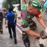 Kebakaran Apartemen Pavilion, Damkar Evakuasi 33 Penghuni Termasuk Tiga Bayi