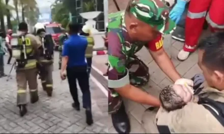 Kebakaran Apartemen Pavilion, Damkar Evakuasi 33 Penghuni Termasuk Tiga Bayi